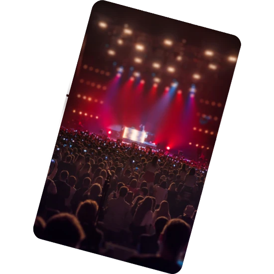 Concert crowd